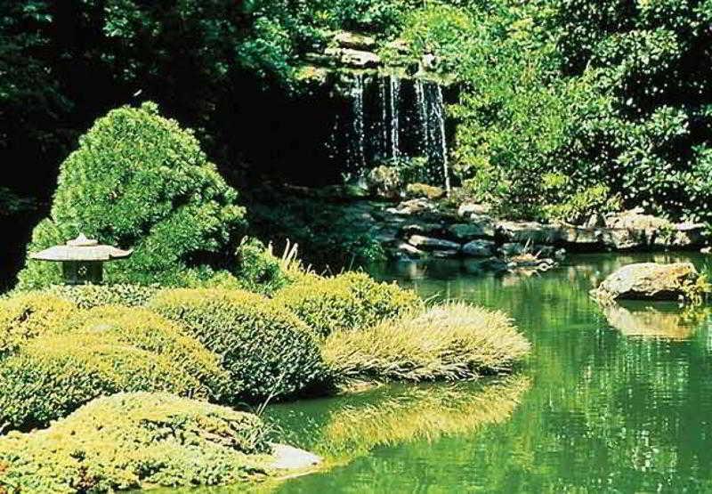 Sonesta Es Worth Fossil Creek Hotel 3*